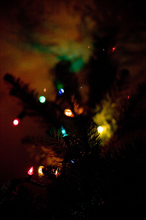 Christmas lights on our noble fir