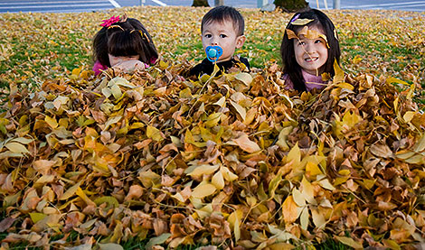 Playing with leaves at Costco